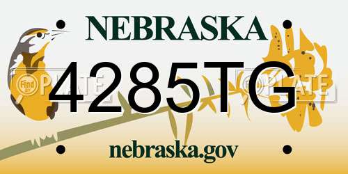 4285TG Nebraska License Plate