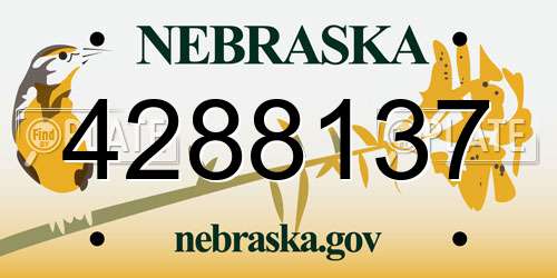 4288137 Nebraska License Plate