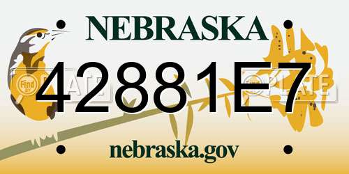 42881E7 Nebraska License Plate