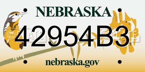 42954B3 Nebraska License Plate