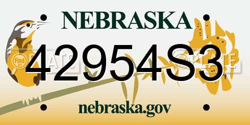42954S3 Nebraska License Plate