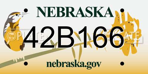 42B166 Nebraska License Plate