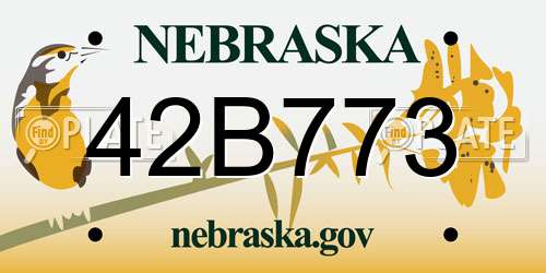 42B773 Nebraska License Plate
