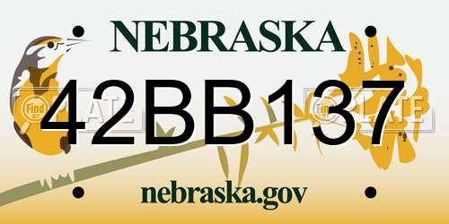 42BB137 Nebraska License Plate