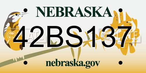 42BS137 Nebraska License Plate