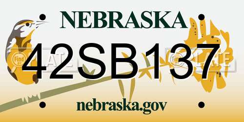 42SB137 Nebraska License Plate