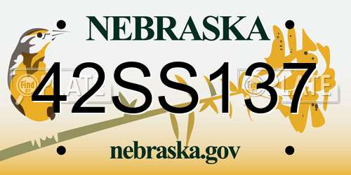 42SS137 Nebraska License Plate