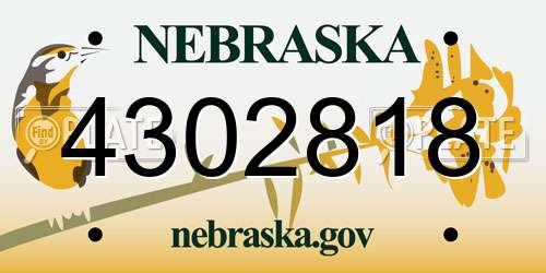 4302818 Nebraska License Plate