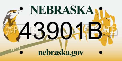 43901B Nebraska License Plate