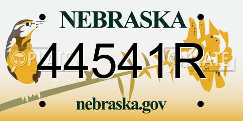 44541R Nebraska License Plate