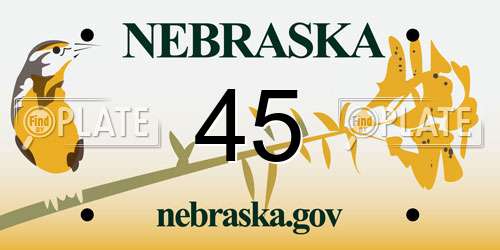 45 Nebraska License Plate