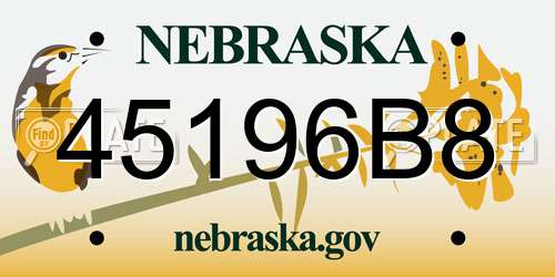 45196B8 Nebraska License Plate
