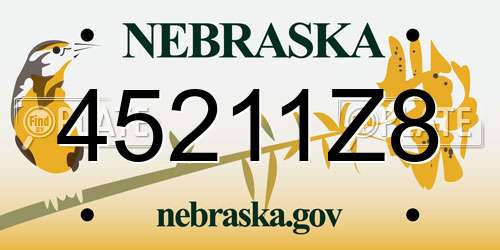 45211Z8 Nebraska License Plate