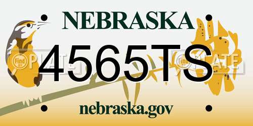 4565TS Nebraska License Plate