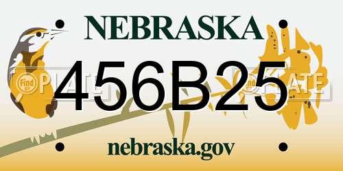 456B25 Nebraska License Plate