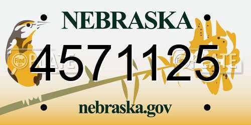 4571125 Nebraska License Plate