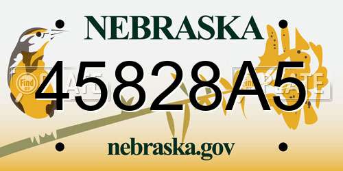 45828A5 Nebraska License Plate