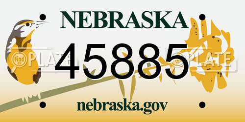 45885 Nebraska License Plate
