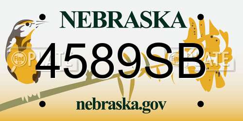 4589SB Nebraska License Plate