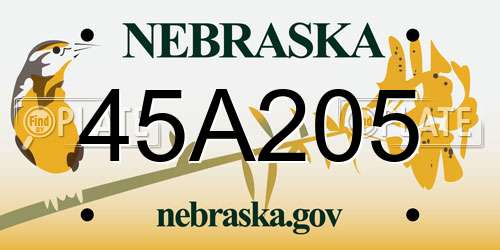 45A205 Nebraska License Plate