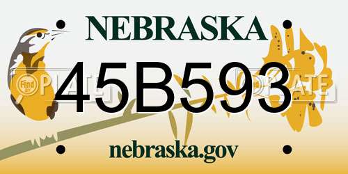 45B593 Nebraska License Plate