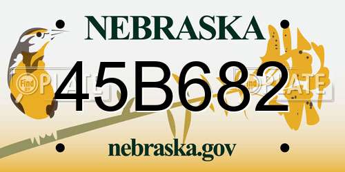 45B682 Nebraska License Plate