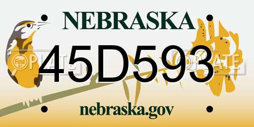 45D593 Nebraska License Plate