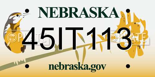45IT113 Nebraska License Plate