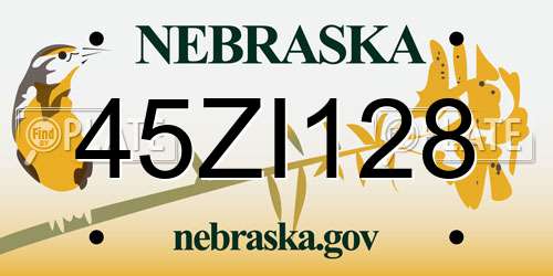 45ZI128 Nebraska License Plate