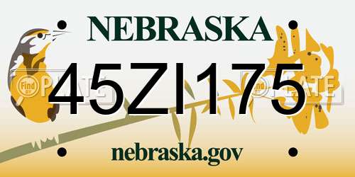45ZI175 Nebraska License Plate