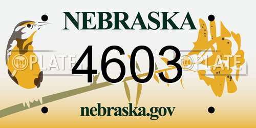 4603 Nebraska License Plate