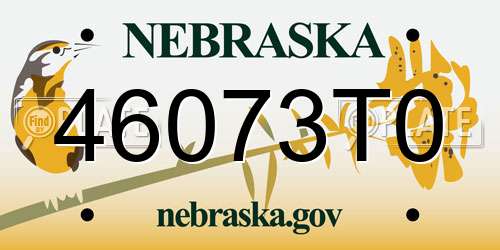 46073T0 Nebraska License Plate
