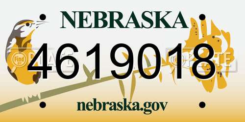 4619018 Nebraska License Plate