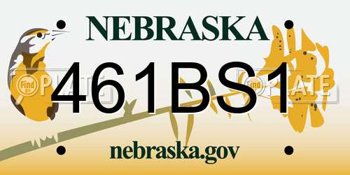 461BS1 Nebraska License Plate
