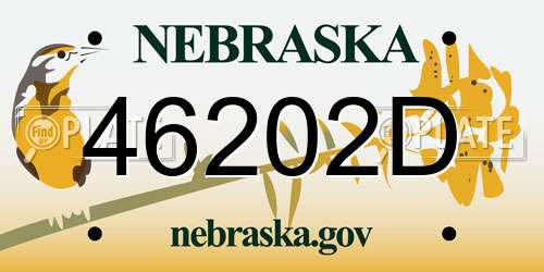 46202D Nebraska License Plate