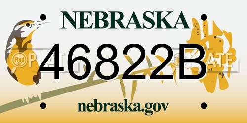 46822B Nebraska License Plate