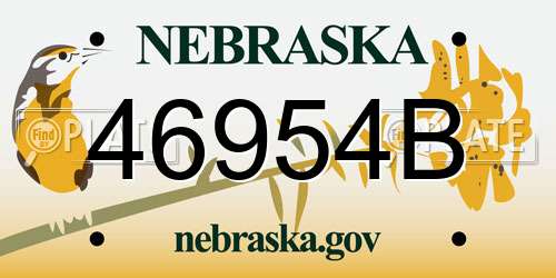 46954B Nebraska License Plate