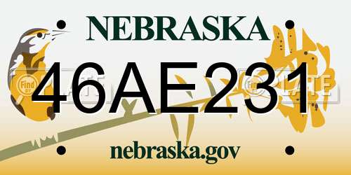 46AE231 Nebraska License Plate