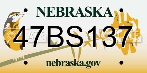 47BS137 Nebraska License Plate