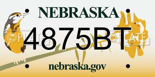 4875BT Nebraska License Plate