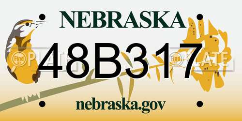48B317 Nebraska License Plate