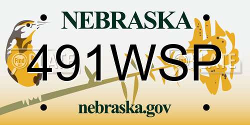 491WSP Nebraska License Plate