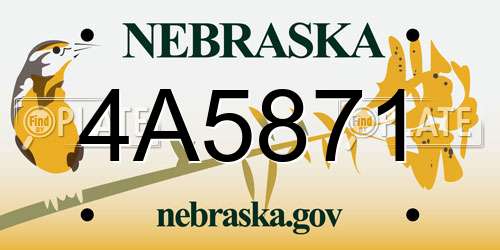 4A5871 Nebraska License Plate