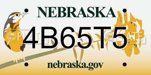 4B65T5 Nebraska License Plate