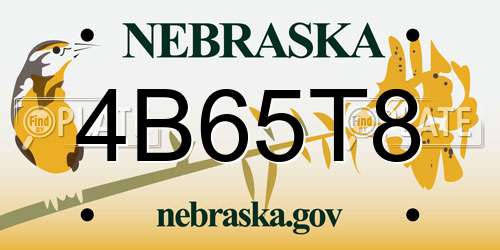 4B65T8 Nebraska License Plate
