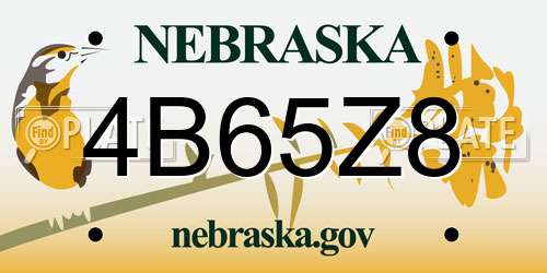 4B65Z8 Nebraska License Plate