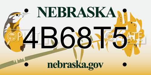 4B68T5 Nebraska License Plate