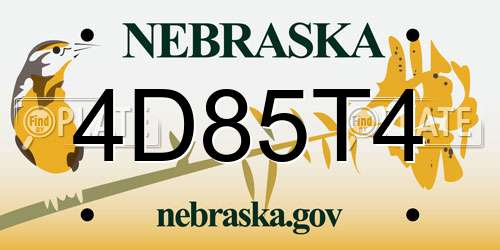 4D85T4 Nebraska License Plate