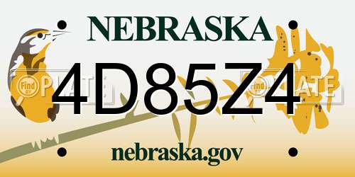 4D85Z4 Nebraska License Plate