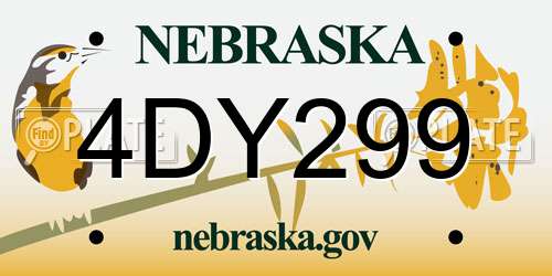 4DY299 Nebraska License Plate